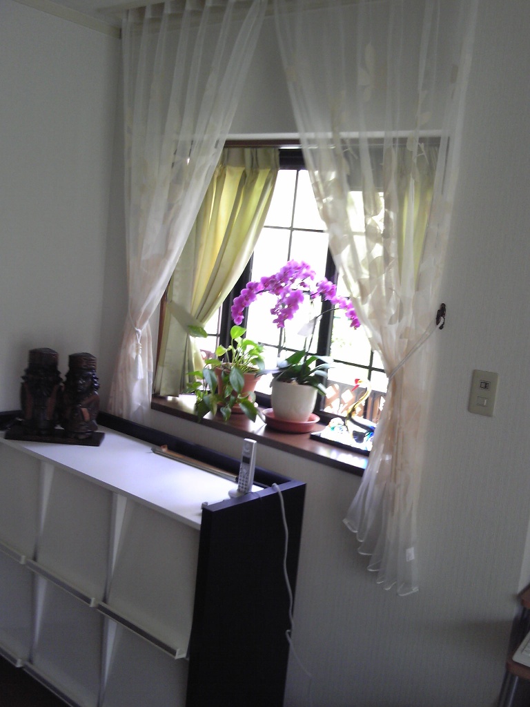 ファイル 107-3.jpg