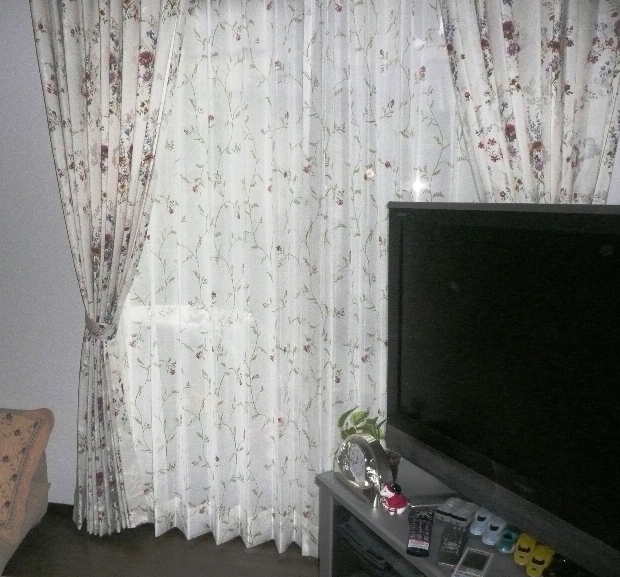 ファイル 113-2.jpg