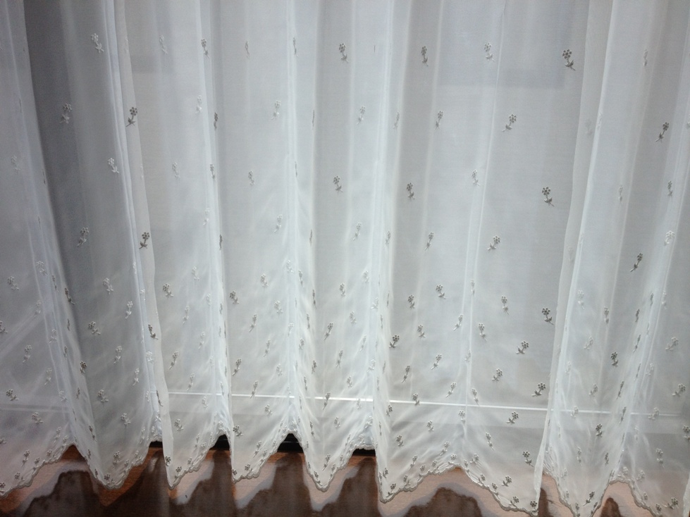 ファイル 119-1.jpg