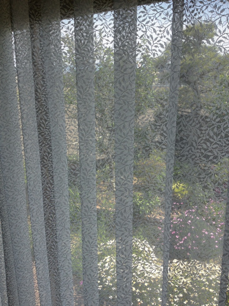 ファイル 153-1.jpg