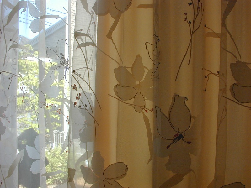 ファイル 16-2.jpg