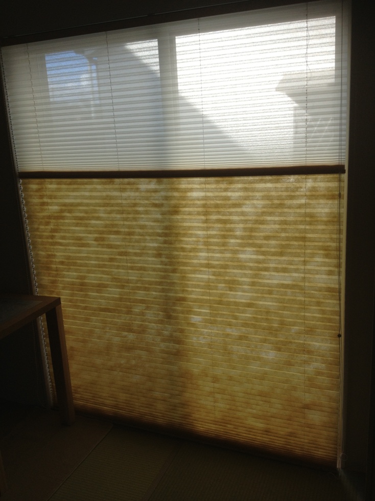 ファイル 175-4.jpg