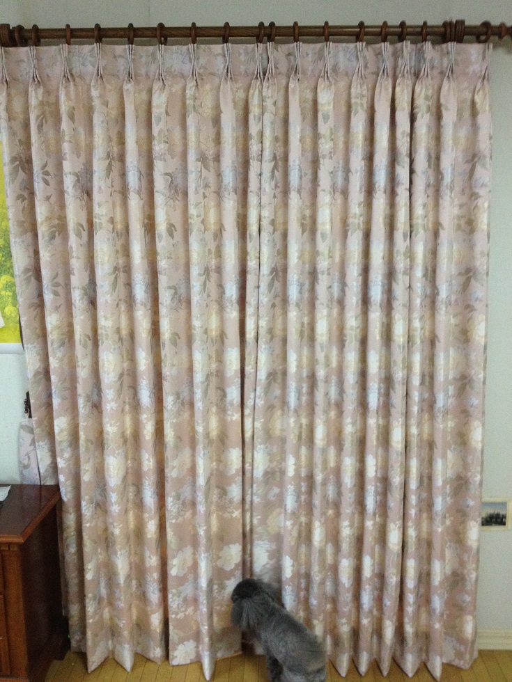 ファイル 228-1.jpg