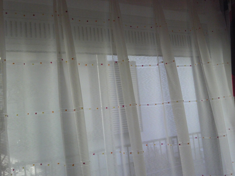 ファイル 231-2.jpg