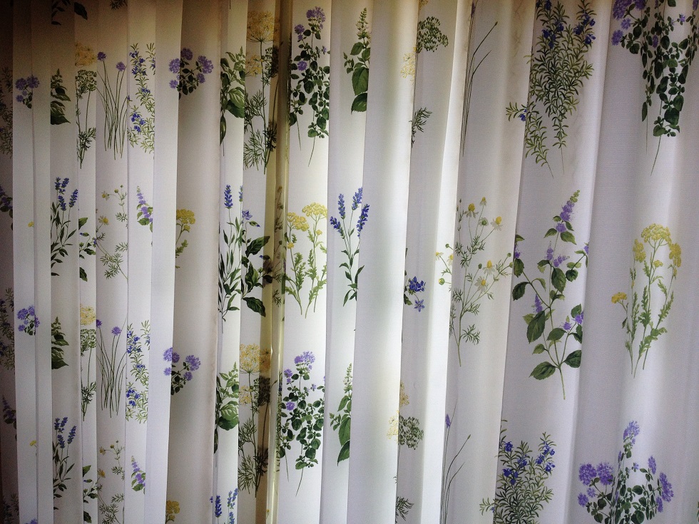 ファイル 242-1.jpg