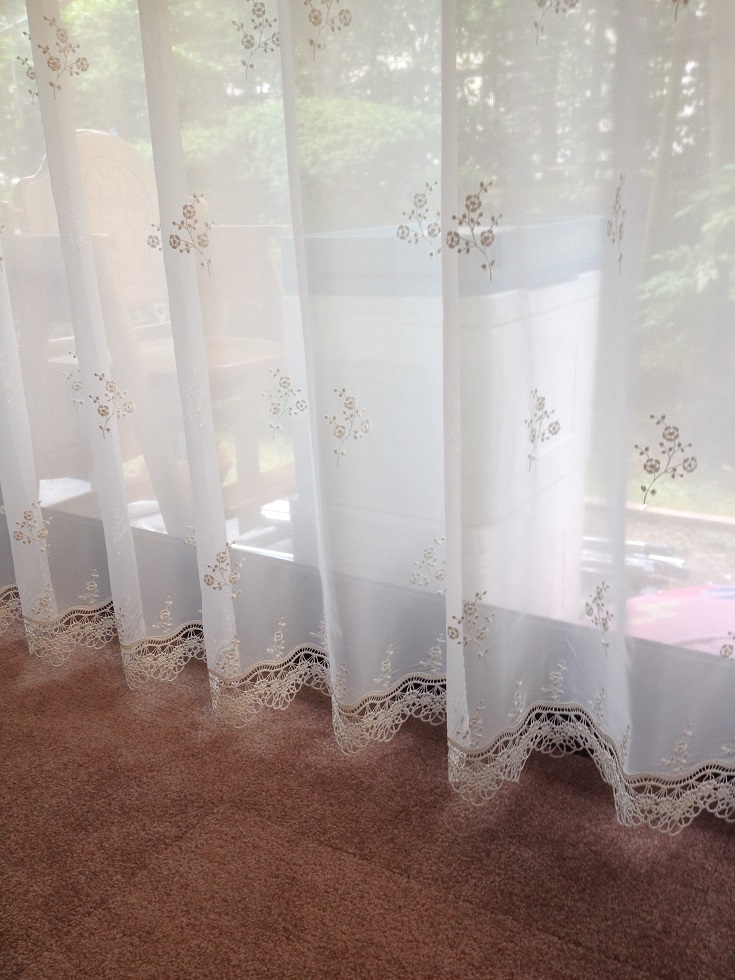 ファイル 274-1.jpg