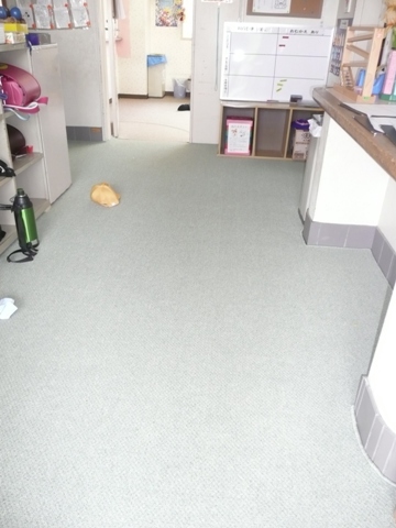 ファイル 29-2.jpg