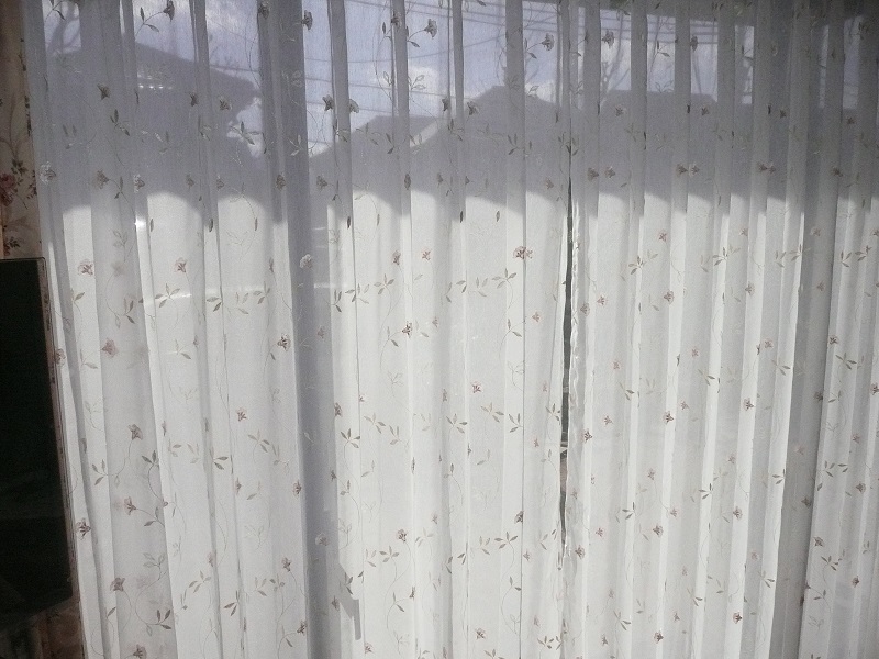 ファイル 301-1.jpg