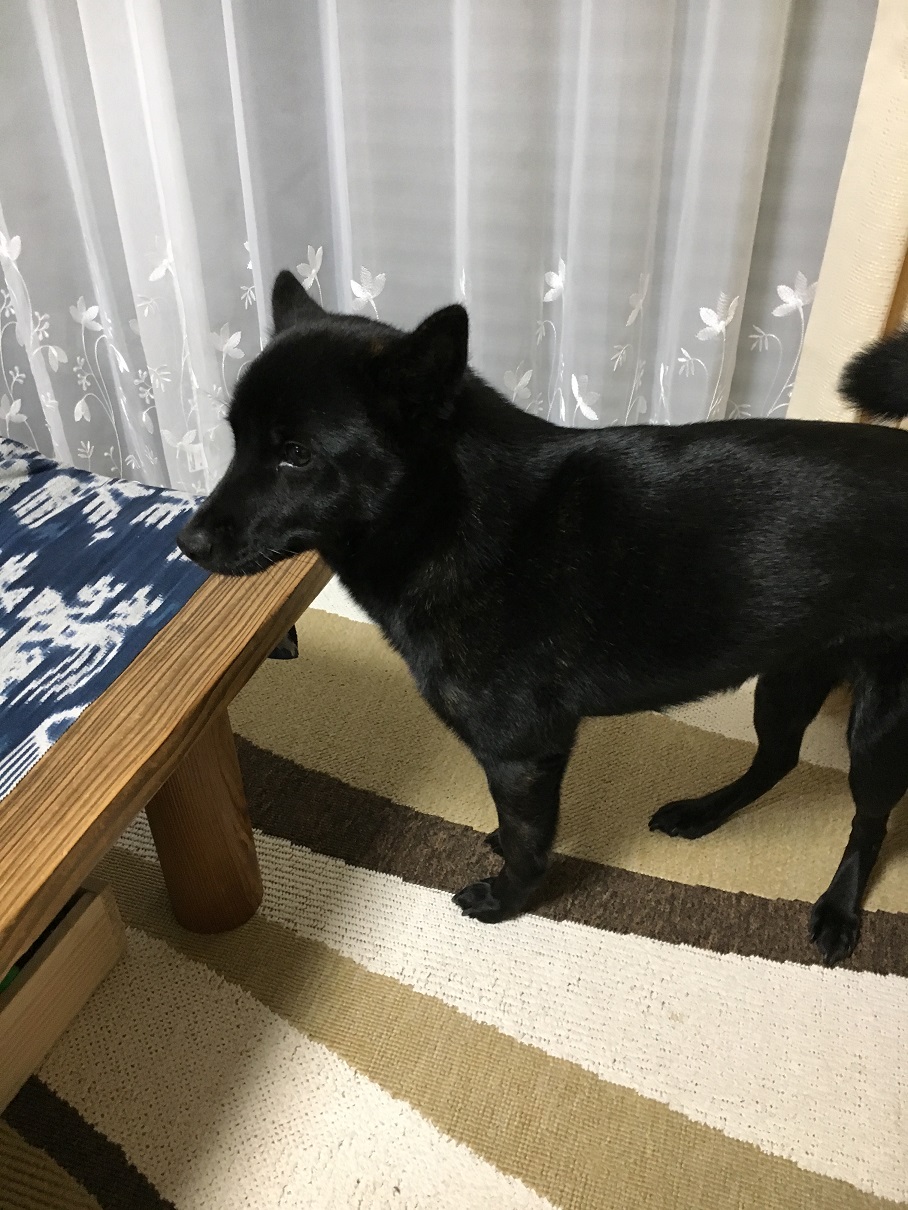 ファイル 305-4.jpg