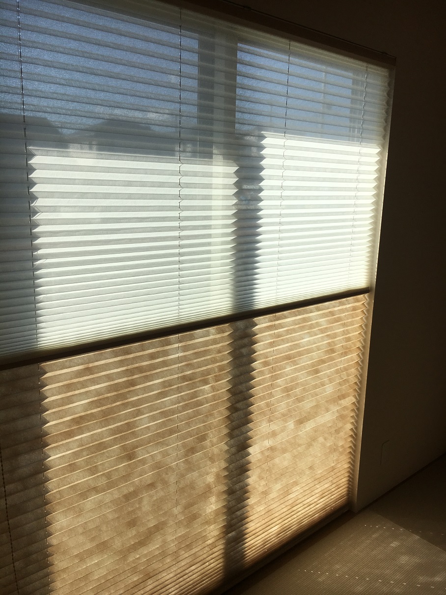 ファイル 307-3.jpg