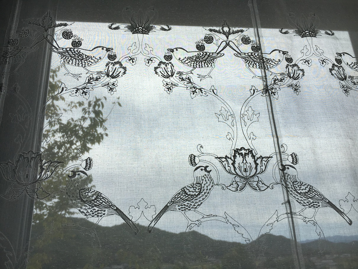 ファイル 347-2.jpg