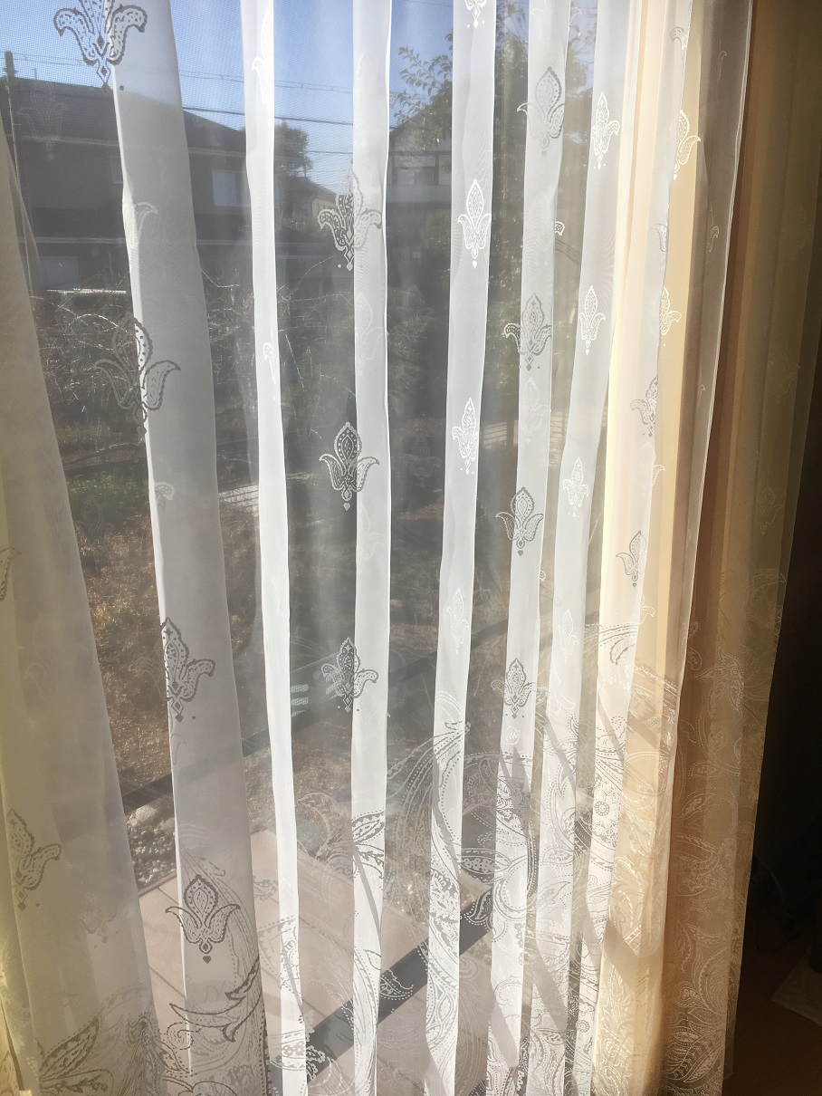 ファイル 361-1.jpg