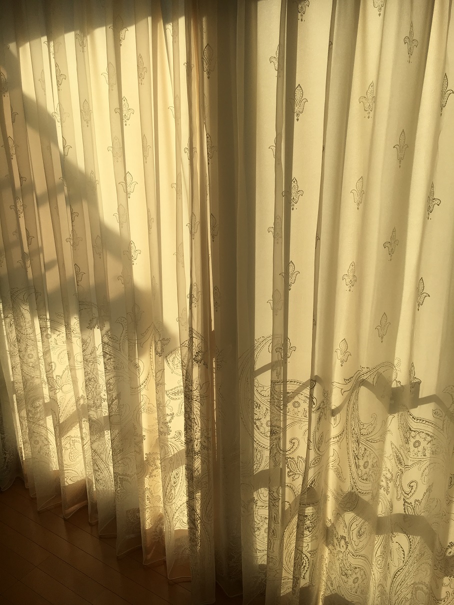 ファイル 361-2.jpg