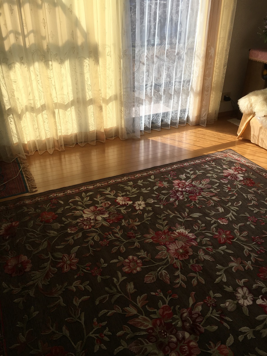 ファイル 361-3.jpg