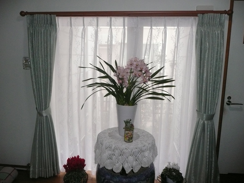 ファイル 364-1.jpg