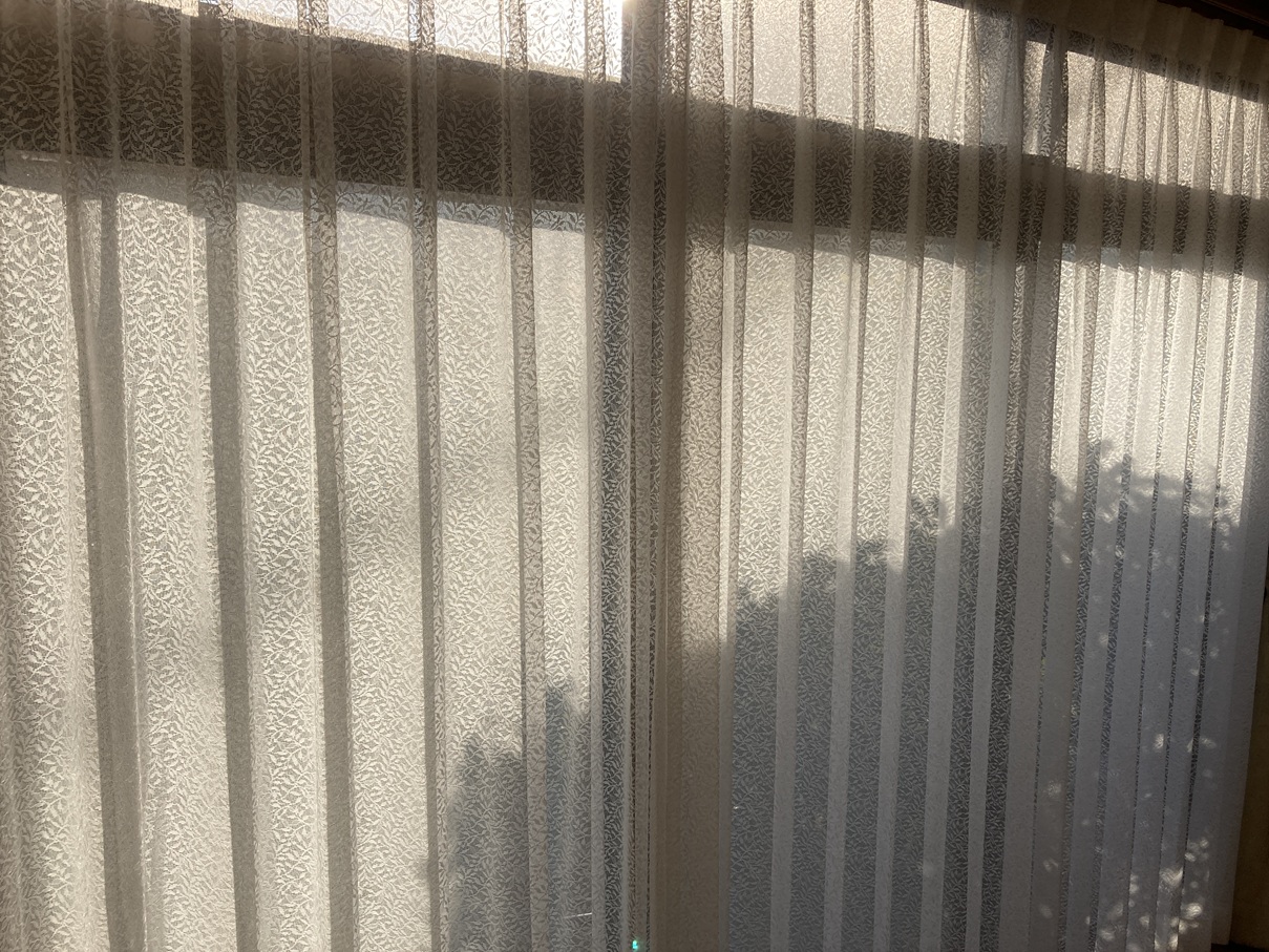 ファイル 733-1.jpg