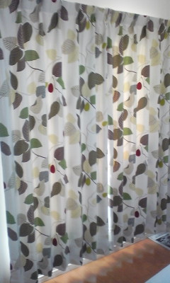 ファイル 76-3.jpg